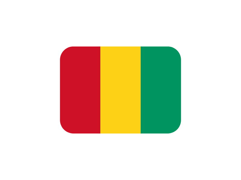 Guinea flag